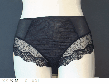 Panache Elsa sheer and lace brief