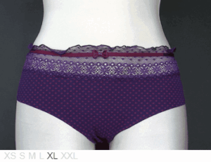 Passionata Thin poly hipster with lace front trim