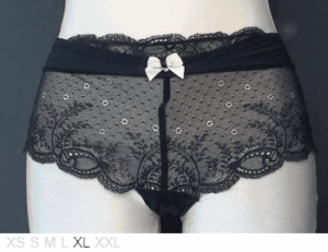 Passionata Sheer and lace French knicker