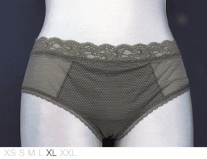 Passionata Poly bikini with lace trim