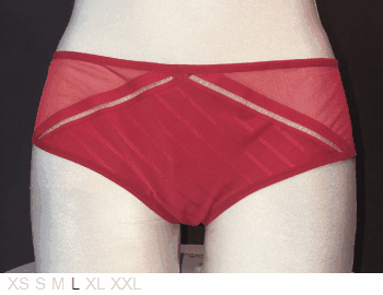 Passionata Very thin, stretchy poly brief
