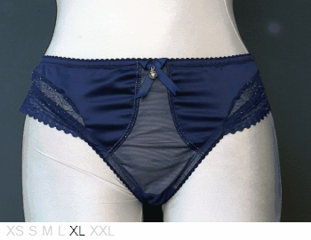 Pleasure State Oriya mini brief