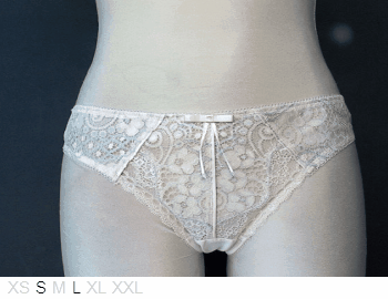 Pleasure State India Mini lace and poly mini brief