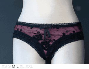 Pleasure State Swan Lake midi brief