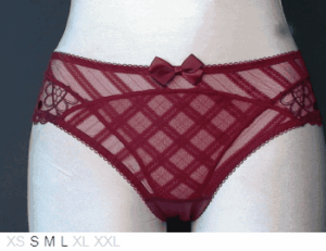 Pleasure State Baciare sheer and lace bikini