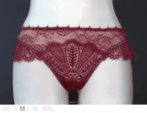 Pleasure State Sicily sheer and lace thong