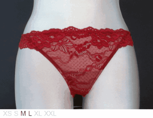 Pleasure State Sheer and lace thong