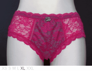 Pucker Up Dual layer poly and lace brief