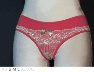 Purpuratta Poly and lace knicker
