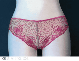 Ravage Sheer and lace soft bikini