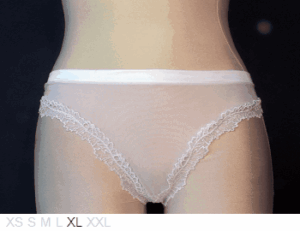 R Crescentini Sheer and lace tanga