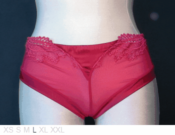 R Crescentini Sheer and lace tanga