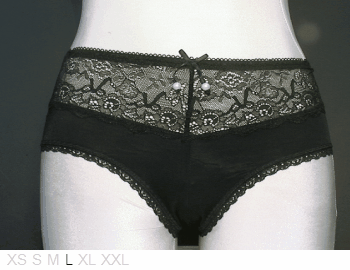 Rene Rofe Lace and sheer-front hipster