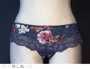 Royce Florence poly and lace knicker