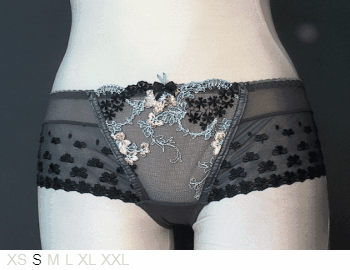 Samanta Armor sheer and lace shorty