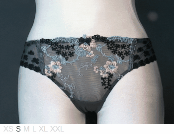 Samanta Armor sheer and lace Brazilian