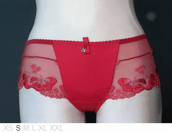 Samanta Goshenit poly and lace culotte