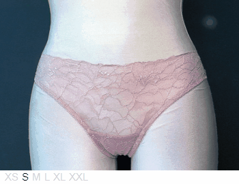 Samantha Chang Sheer and lace bikini