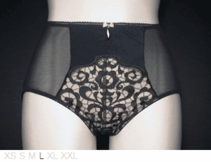 Sans Complexe Dual layer poly and lace brief