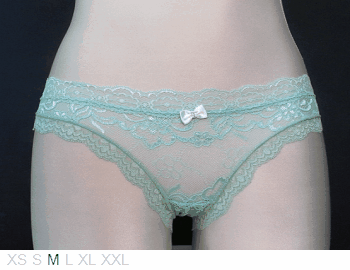 Santolina Lingerie Sheer and lace and lycra bikini