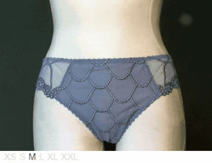Secret d'Eva Ines sheer front, poly back culotte