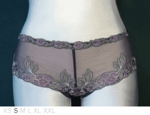 Simone Perele Sheer and lace embroidered boy short
