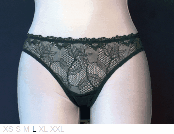Sisi Sheer and lace bikini