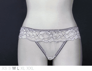 Sophie B Sheer and lace bikini
