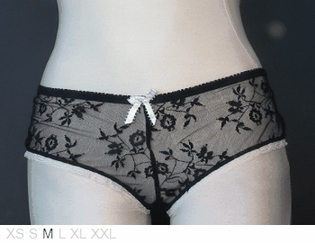 Sophie B Sheer and lace hipster