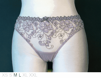 Stelei Sheer and lace tanga