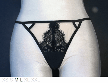 Thistle and Spire Sheer and lace thong
