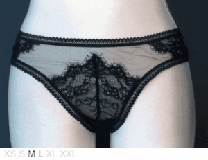 Thistle and Spire Eyelash lace mirage thong