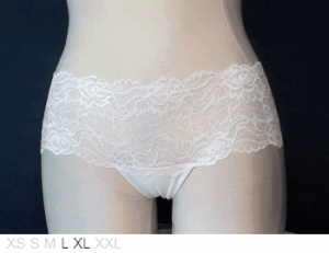 Triumph Forbidden lace hipster