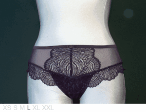 Triumph Iconic Essence sheer and lace hipster