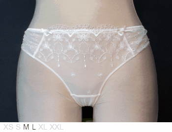 Triumph Dual layer sheer and lace bikini