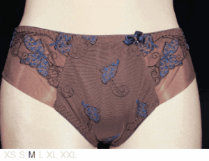 Ulla Poly and lace brief