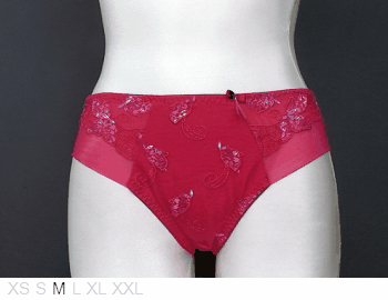 Ulla Dual layer poly brief