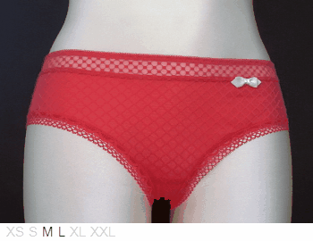 Un:usual Sheer and lace hipster