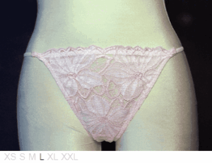 Valery Prestige Sheer and lace thong