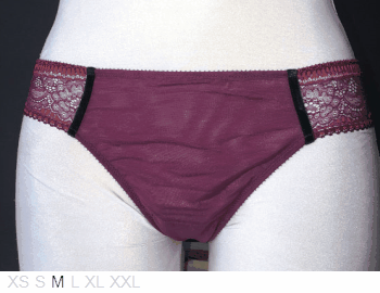 Vanity Fair Sheer and lace thong