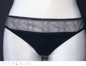 Vanity Fair Dual-layer sheer and lace bikini