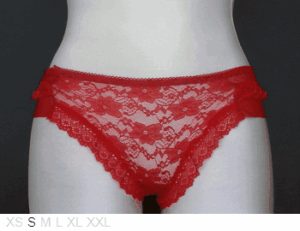 Yisiting Pure sheer and lace bikini