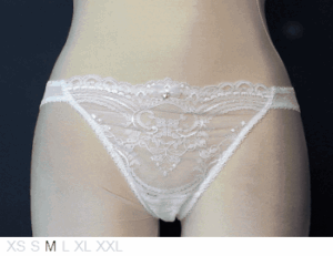 Wacoal Sheer and lace Brazililan bikini
