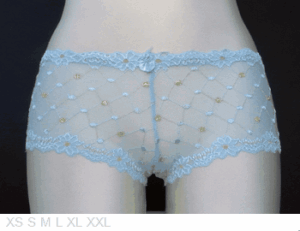 Winlove All-Lace Knicker