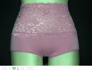 Zhudiman Viscoce high waist lace brief